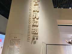 -国家自然博物馆