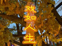 -横店影视城梦幻谷园区