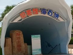 -亚龙湾中心广场