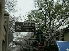 -鸡鸣赐茶(鸡鸣寺路店)