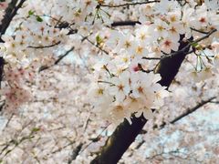 -白塘生态植物园