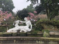 -南山植物园