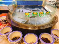 -雅和睿景·商务宴·风味土窑鸡(花博汇店)