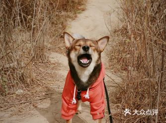 不知名小山丘也拥有秋日的美