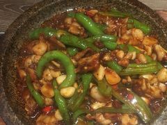 铁板鱿鱼-茉莉餐厅(包河万达店)