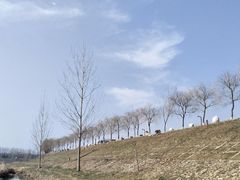 -洨河生态公园