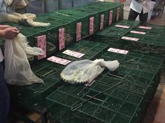 -荔城生鲜盛宴(番禺旗舰店)