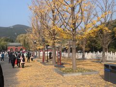 -晋祠公园