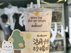 -猫的魔法密林(衣裳街店)