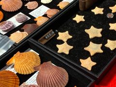 -摩登百货(岗顶店)