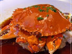 -荷风细雨·中国茶宴(碧云店)