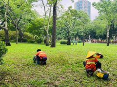 -晓港公园