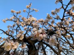-白塘生态植物园