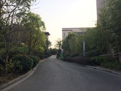 -上海崇明金茂凯悦酒店