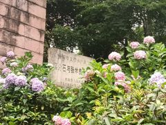 -黔灵山公园