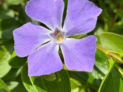 -上海吴淞炮台湾国家湿地公园