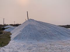 -莺歌海盐场