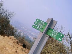 -杭州半山国家森林公园