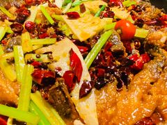 -老板恋上鱼(印象城店)