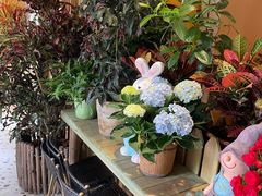 -萤火虫咖啡(后海店)
