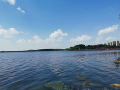 -丁香湖公园