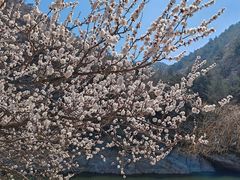 -金龙寺国家森林公园