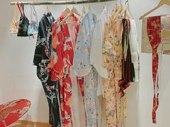 -南京Hallo宠物乐园·哈罗犬舍·柴犬繁育基地