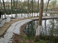 -桤木河湿地公园