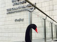 -行者书屋大堂吧 ·下午茶(南京圣和府邸酒店)