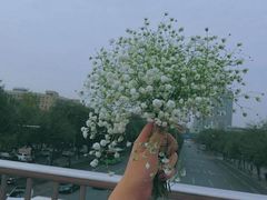 -那些花儿鲜花店(小寨店)