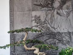 -个园