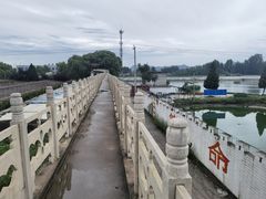 -东方巨龟苑景区