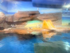 -海合安武汉极地海洋公园