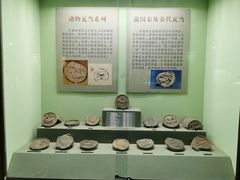 -古陶文明博物馆