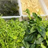 潮汕火锅自助🍲在南昌也能吃到啦