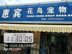 -惠宾花鸟宠物店