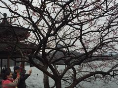 -索菲特西湖大酒店·香榭丽全日候餐厅(南山路店)