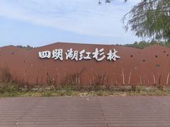 -四明湖