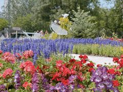 -八角街道·八角南路社区