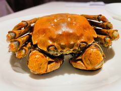 六月黄-蟹榭(静安寺晶品商场店)