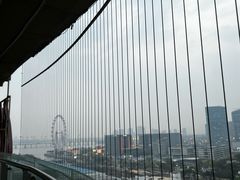 -南方医科大学深圳医院