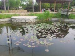 -济南国际园博园