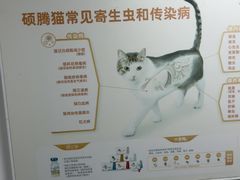 -宠颐生宠物医院外科·内科·皮肤科·影像科(石龙店)