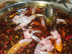 -蛙鱼道美蛙鱼自助火锅(新耍都店)