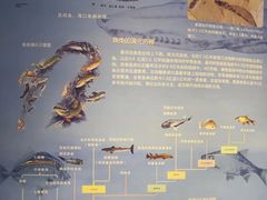 -天津自然博物馆