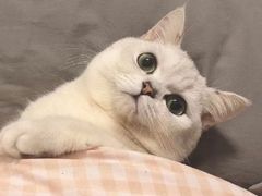 -好利来(红旗万达店)