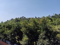 -广州莲花山旅游区