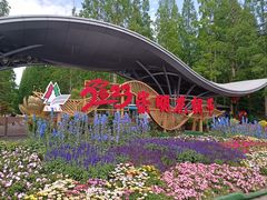 -东平国家森林公园