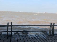 -吴淞炮台湾湿地森林公园烧烤区