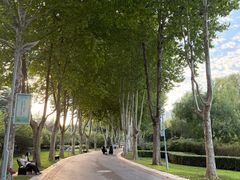 -郑州植物园